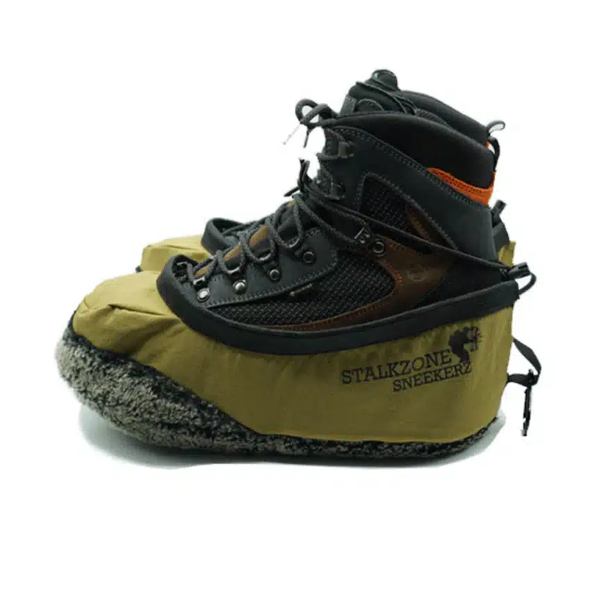 Boot Guards