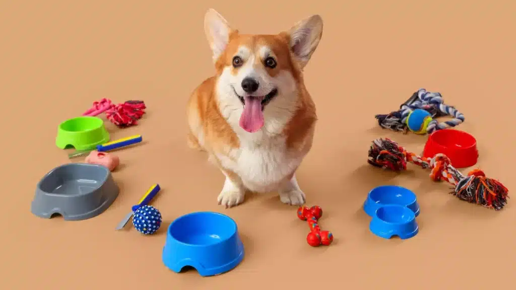 White Label Pet Products: Simple Startup Guide 2025